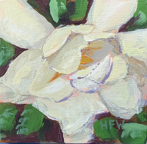 Magnolia in Bloom, 4" x 4"