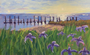 Irises at Sunset, 15" x 24"