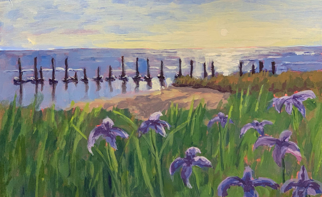 Irises at Sunset, 15