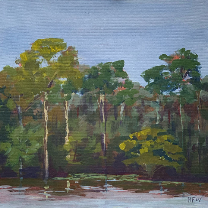 Tchefuncte River - Fairview, 12