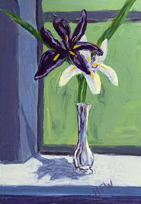Purple and White Flowers