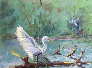 Great Egret at Pine Island Rookery, 8 3/4" x 11 3/4", acrylic on board